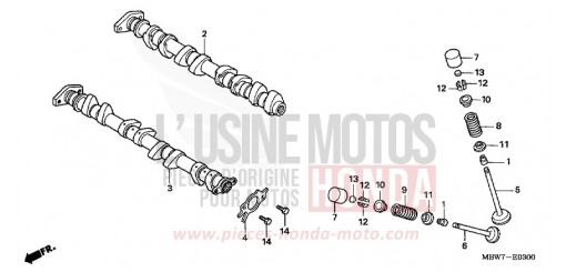ALBERO A CAMME/VALVOLA CBR600F6 di 2006